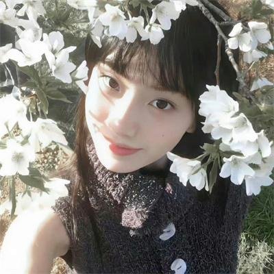 百花缭乱 武士少女 特典